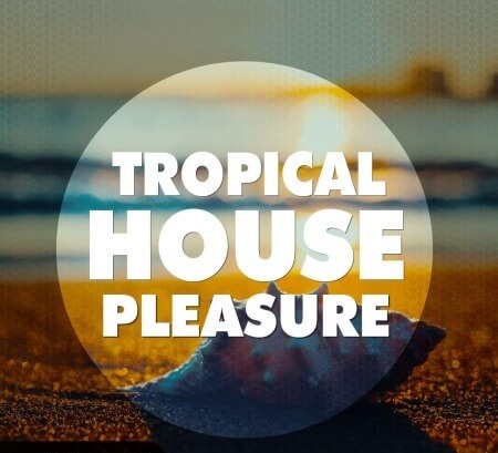 Big EDM Tropical House Pleasure WAV MiDi Synth Presets